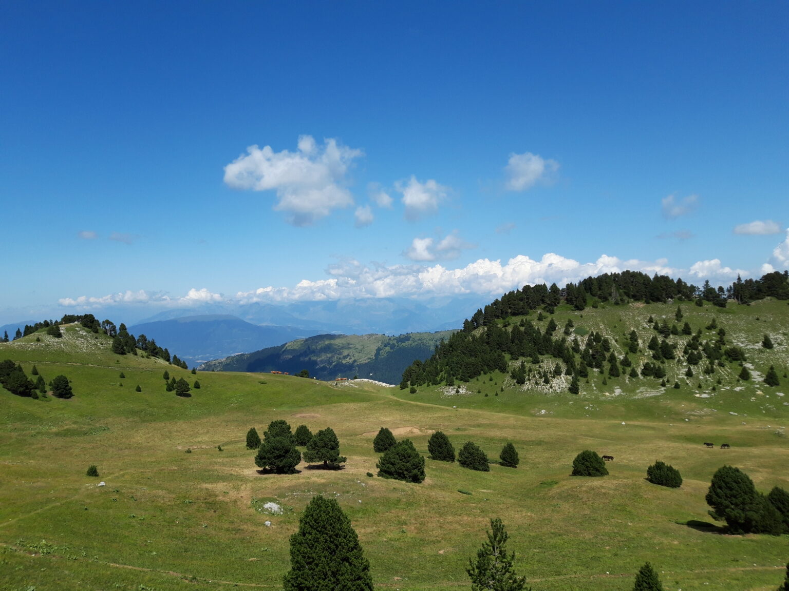 Vallon de Combeau 1