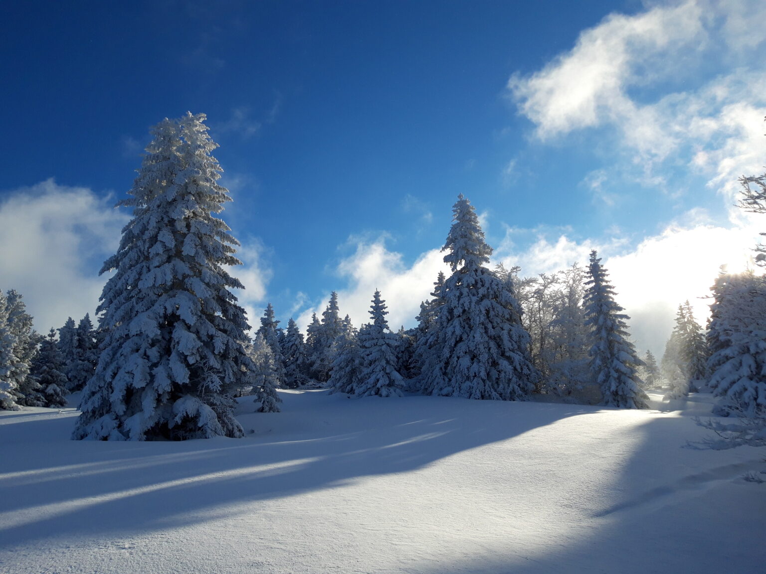 neige hiver vercors