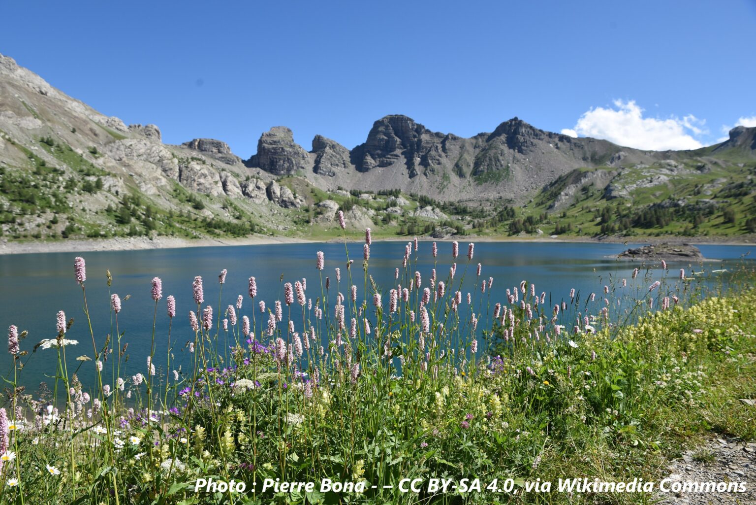 Lac_D_Allos copyright