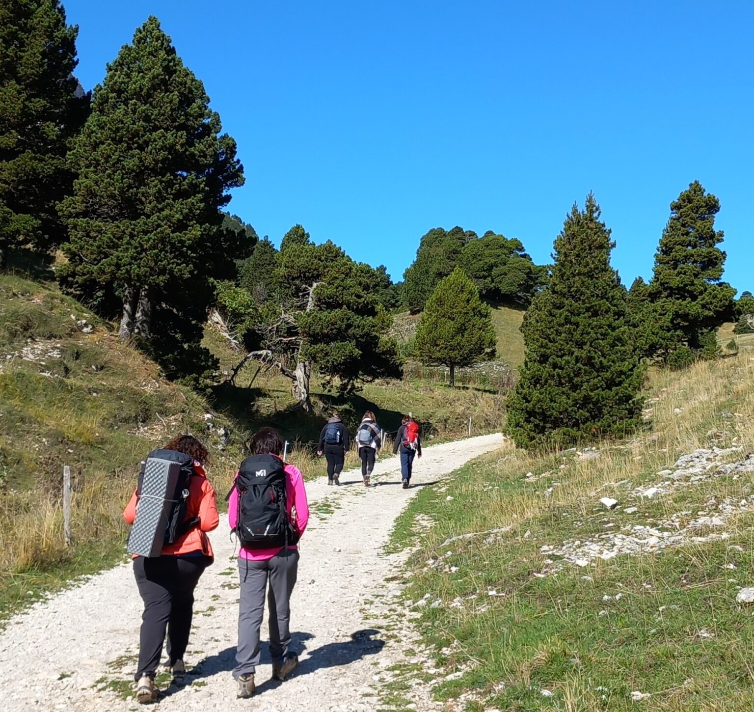 20250927_111932 - Copie